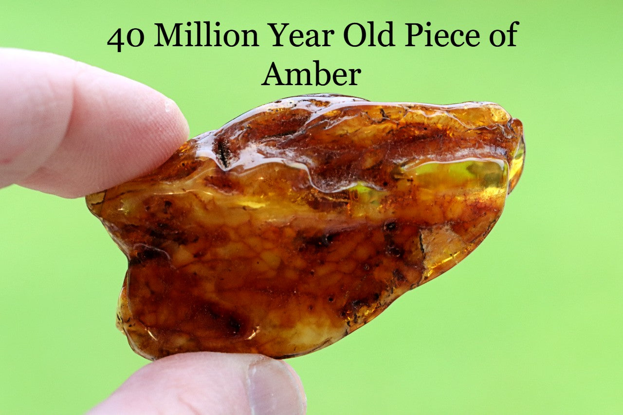 Natural  Baltic Amber Gemstone