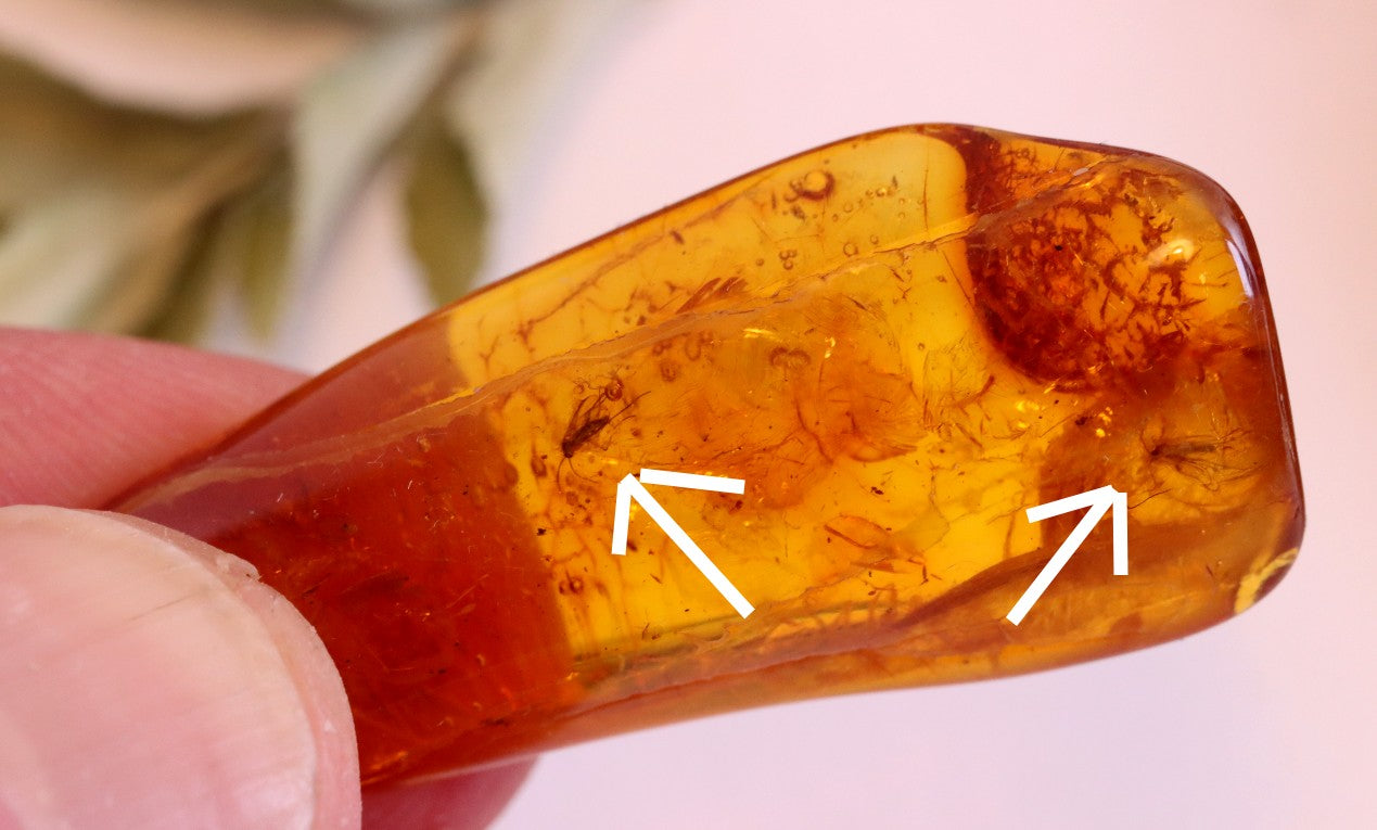 2 X 40 million year old Fly Inclusion in Baltic Amber