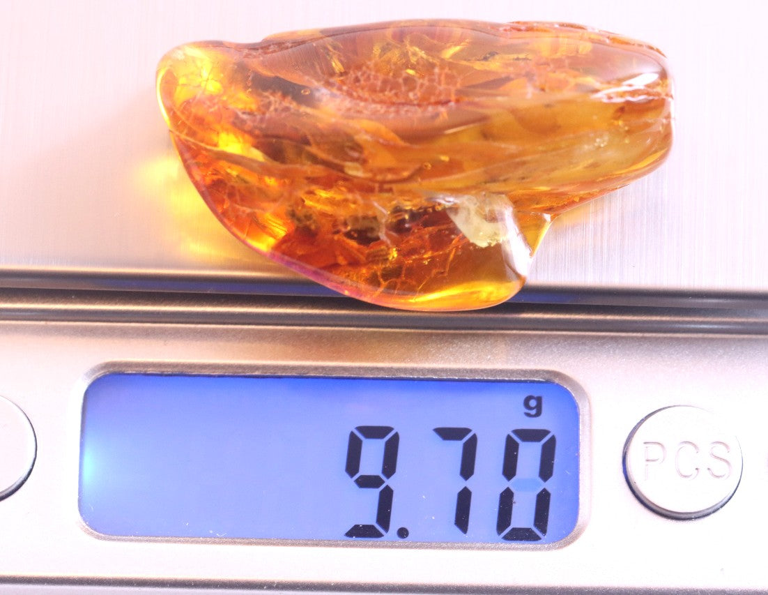 Rare One In A Million Piece Of Baltic Amber With 12 Insects Museum Collector's