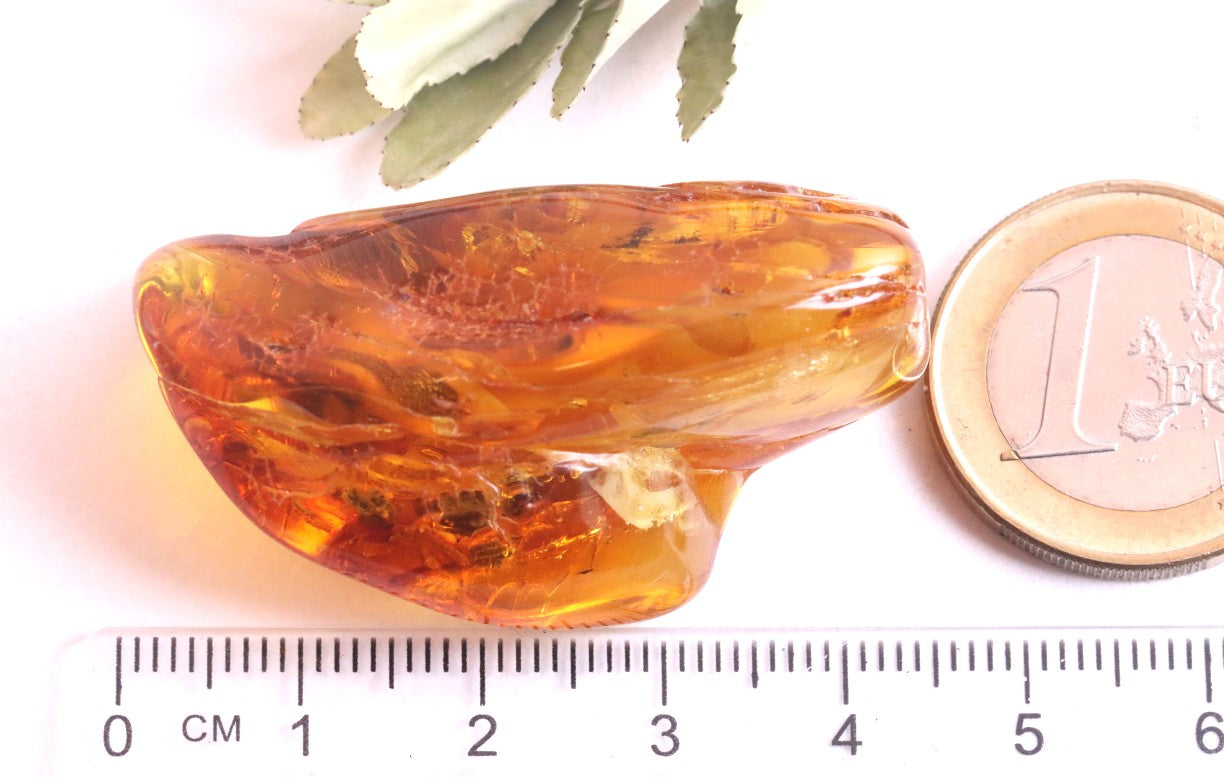 Rare One In A Million Piece Of Baltic Amber With 12 Insects Museum Collector's