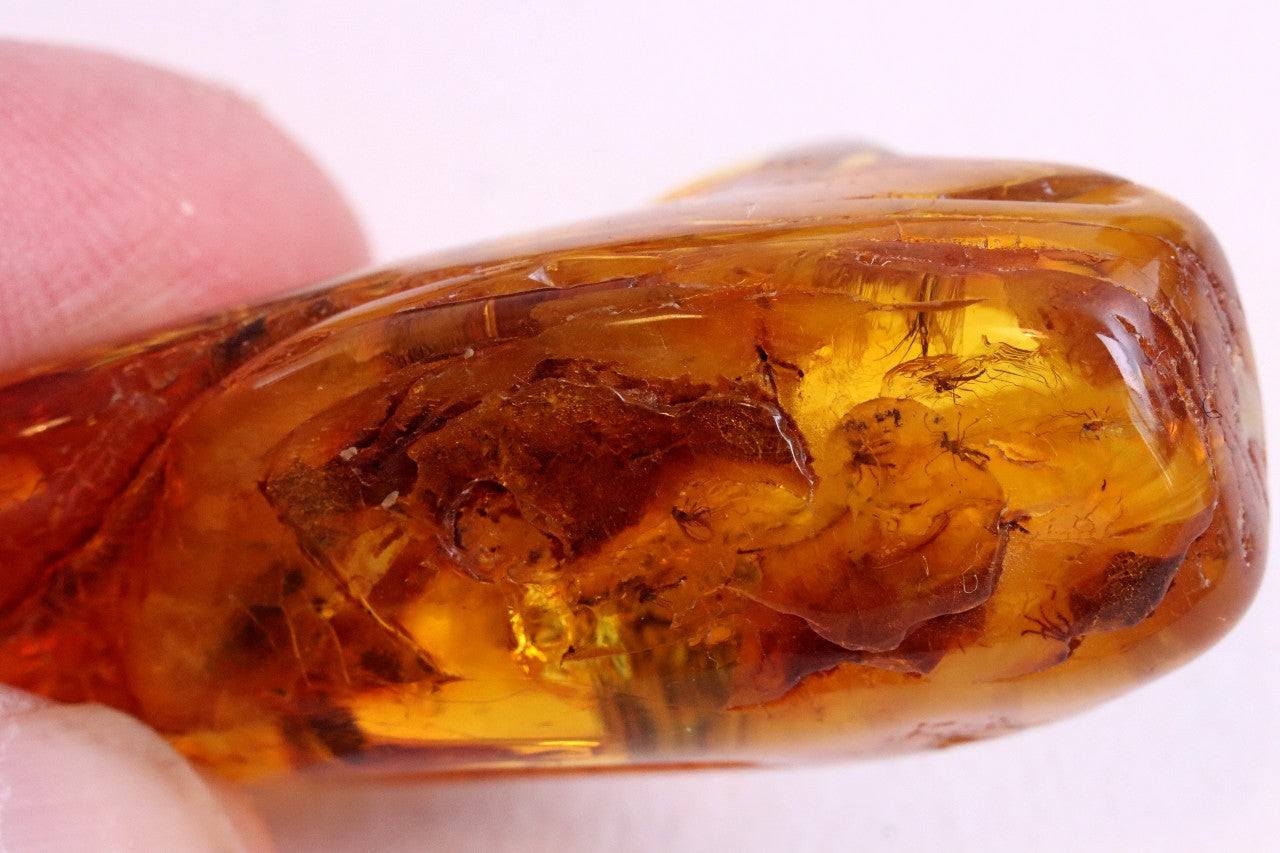 Rare One In A Million Piece Of Baltic Amber With 12 Insects Museum Collector's