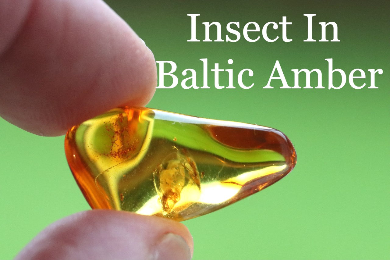 Insect Inclusion in Baltic Amber Small Piece