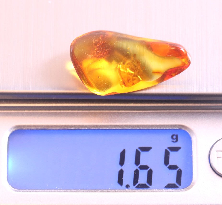 Insect Inclusion in Baltic Amber Small Piece