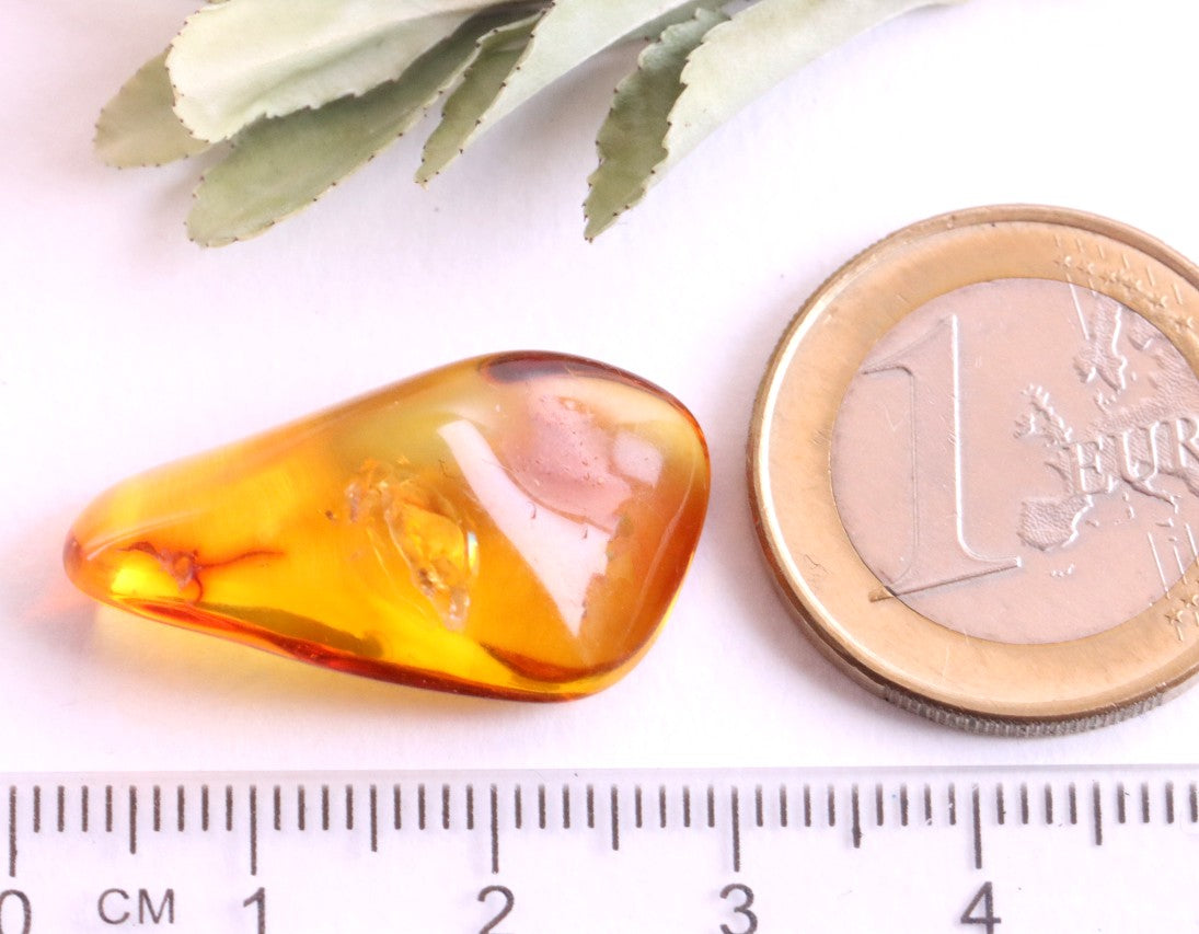 Insect Inclusion in Baltic Amber Small Piece