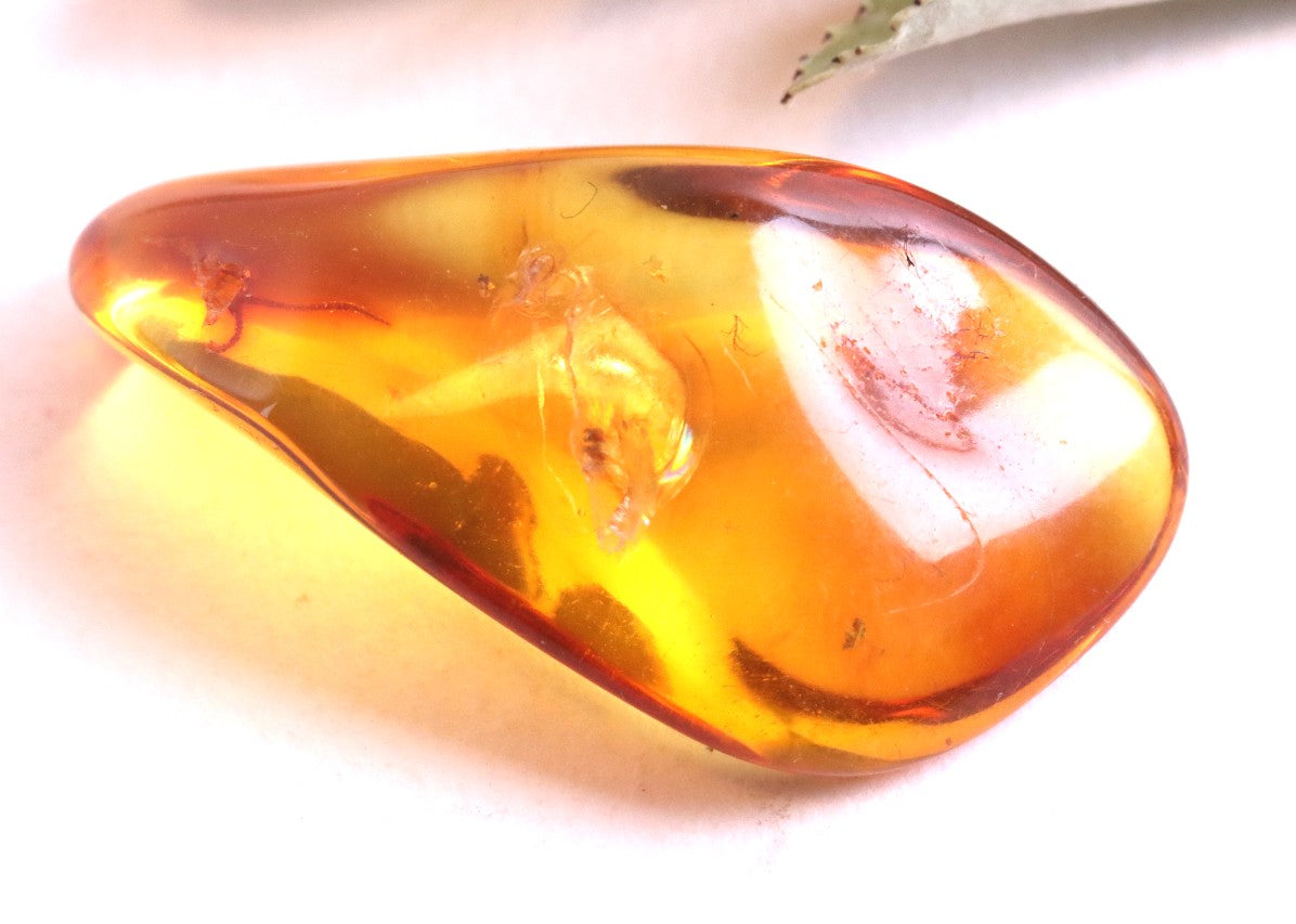 Insect Inclusion in Baltic Amber Small Piece