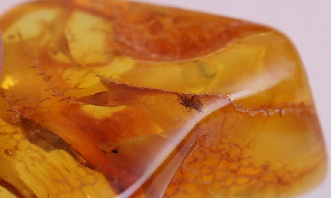 Small Fossil Specimen Spider in Baltic Amber