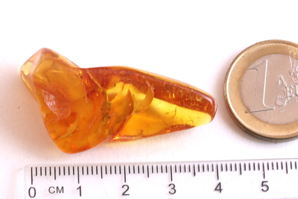 Small Fossil Specimen Spider in Baltic Amber