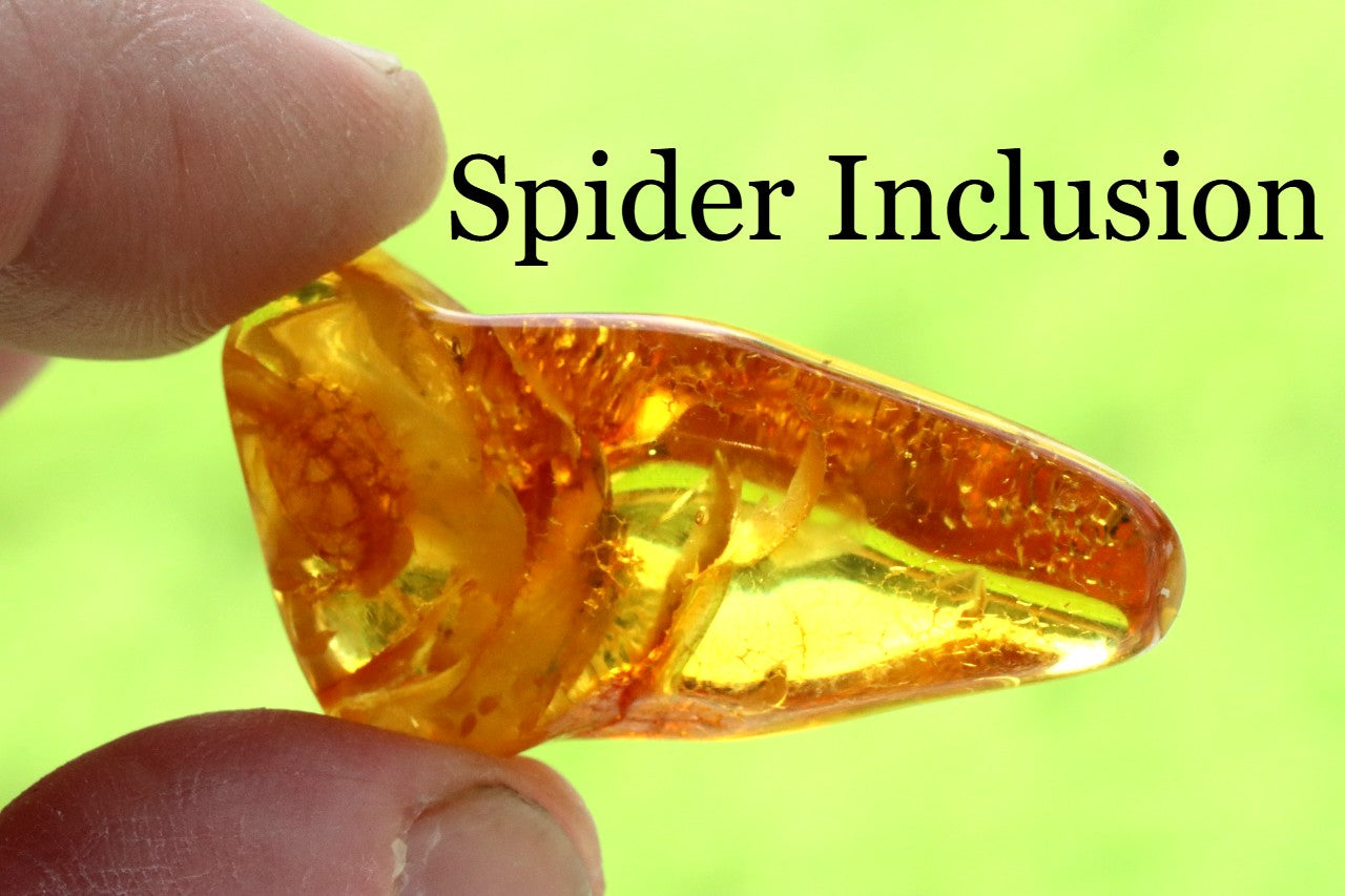 Small Fossil Specimen Spider in Baltic Amber