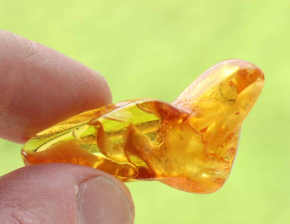 Small Fossil Specimen Spider in Baltic Amber