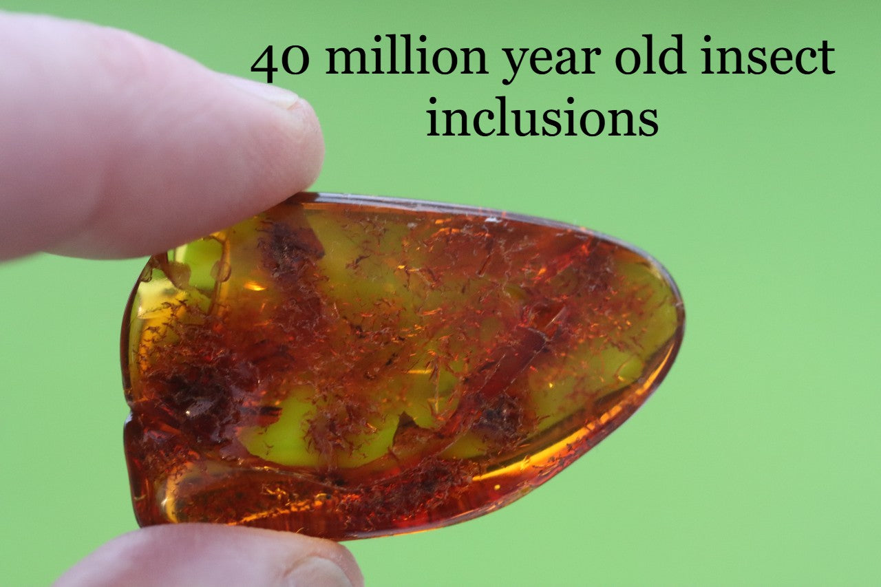 Baltic Amber Museum Collector's gem With Insects Inclusion