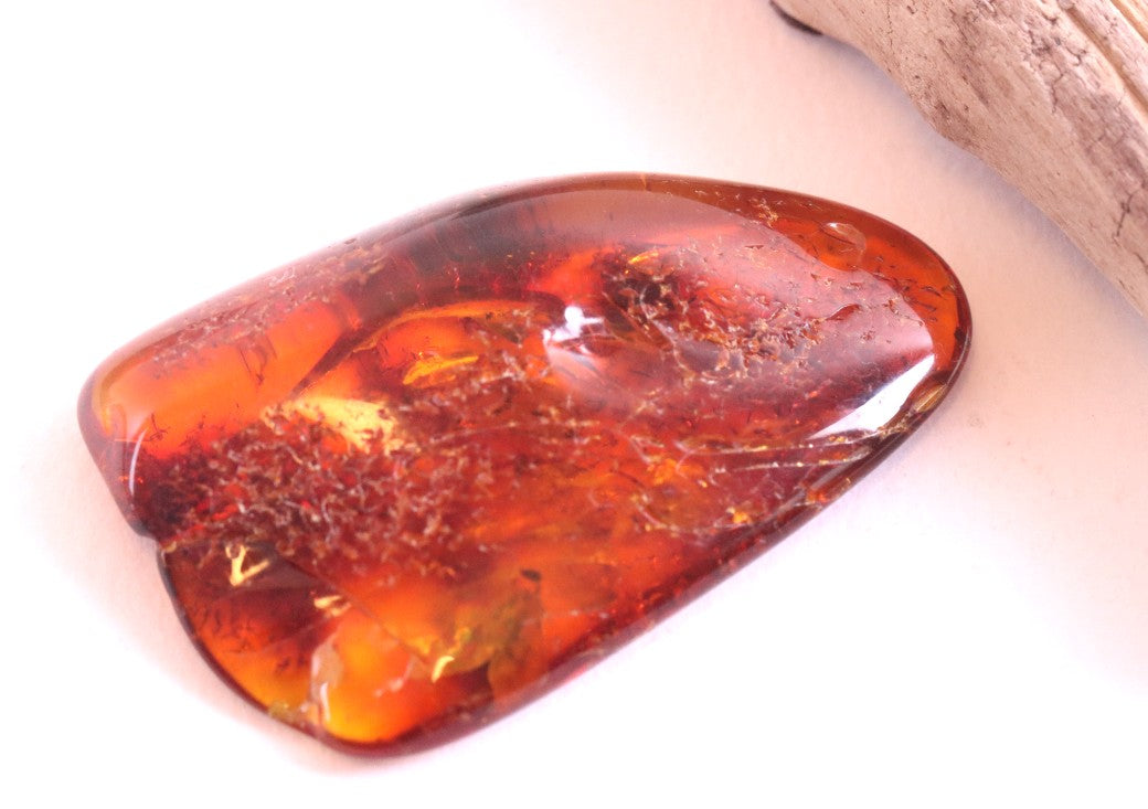 Baltic Amber Museum Collector's gem With Insects Inclusion