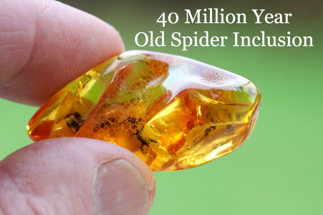 Collector's gem With 40 Million Year Old Spider Inclusion