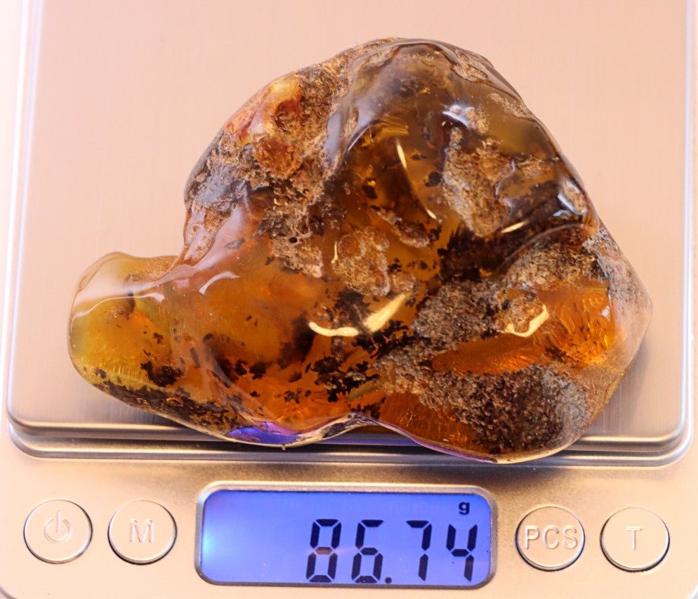 Unbelievable Large Amber Collector's Gem 86.74g