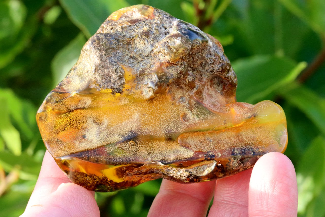 Unbelievable Large Amber Collector's Gem 86.74g