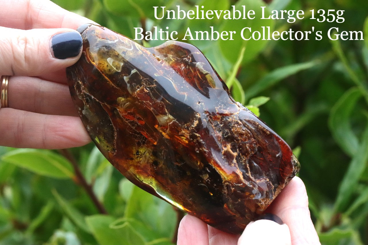 Unbelievable Large 135g Baltic Amber Collector's Gem