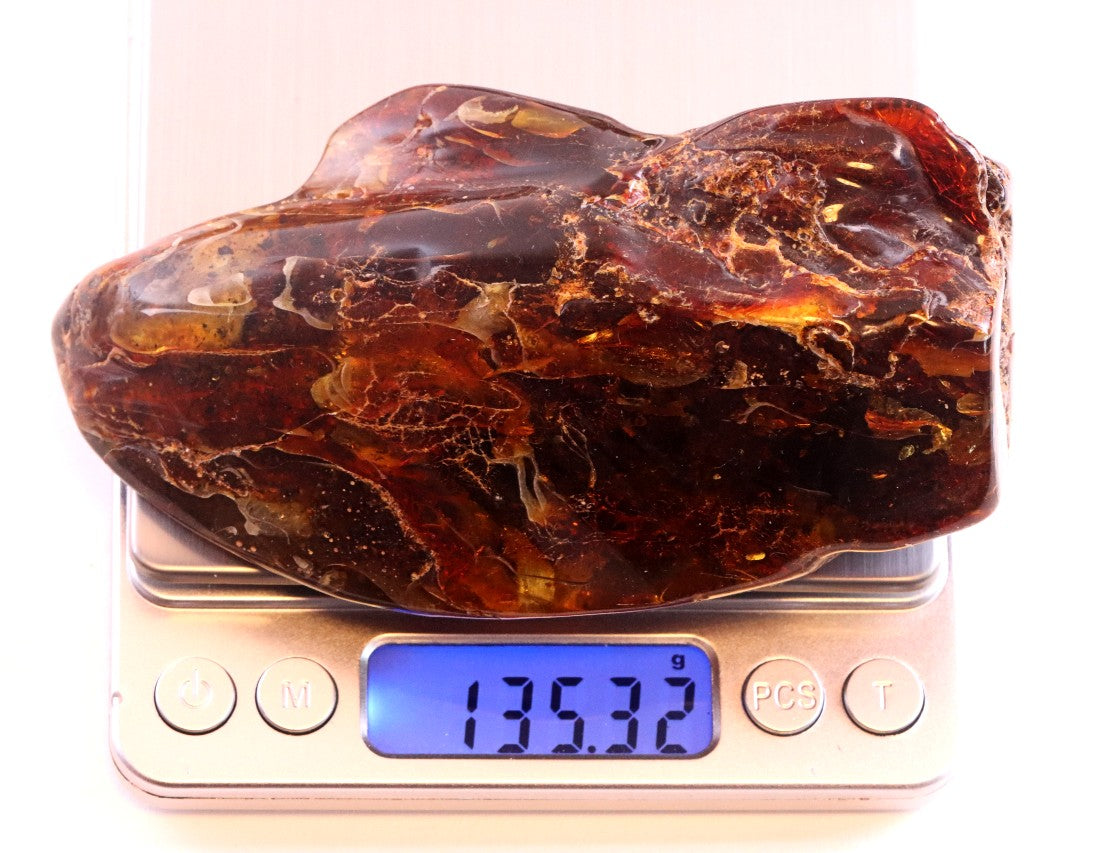 Unbelievable Large 135g Baltic Amber Collector's Gem