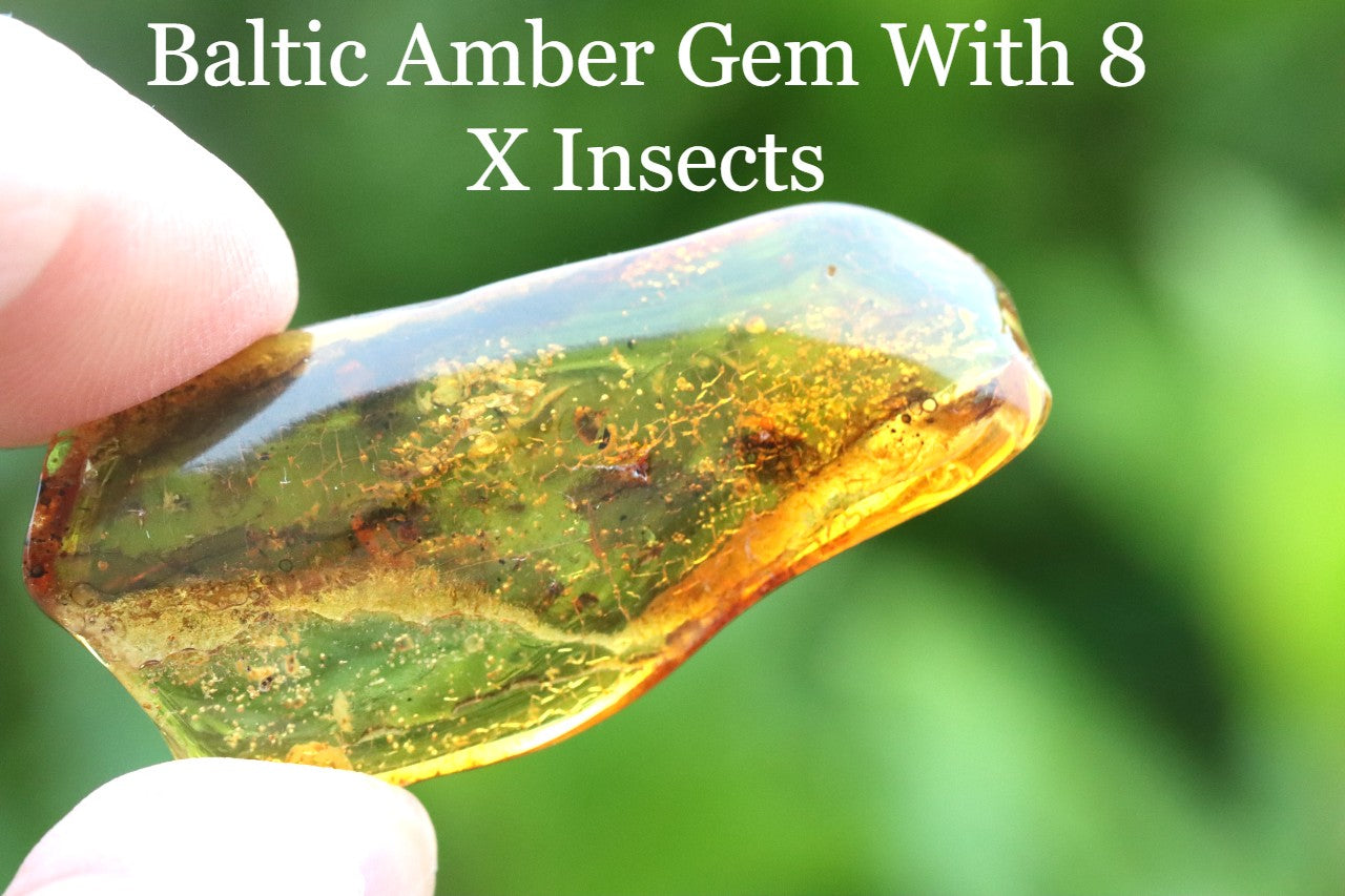 Amber Gem With 8 X Insects and air bubbles