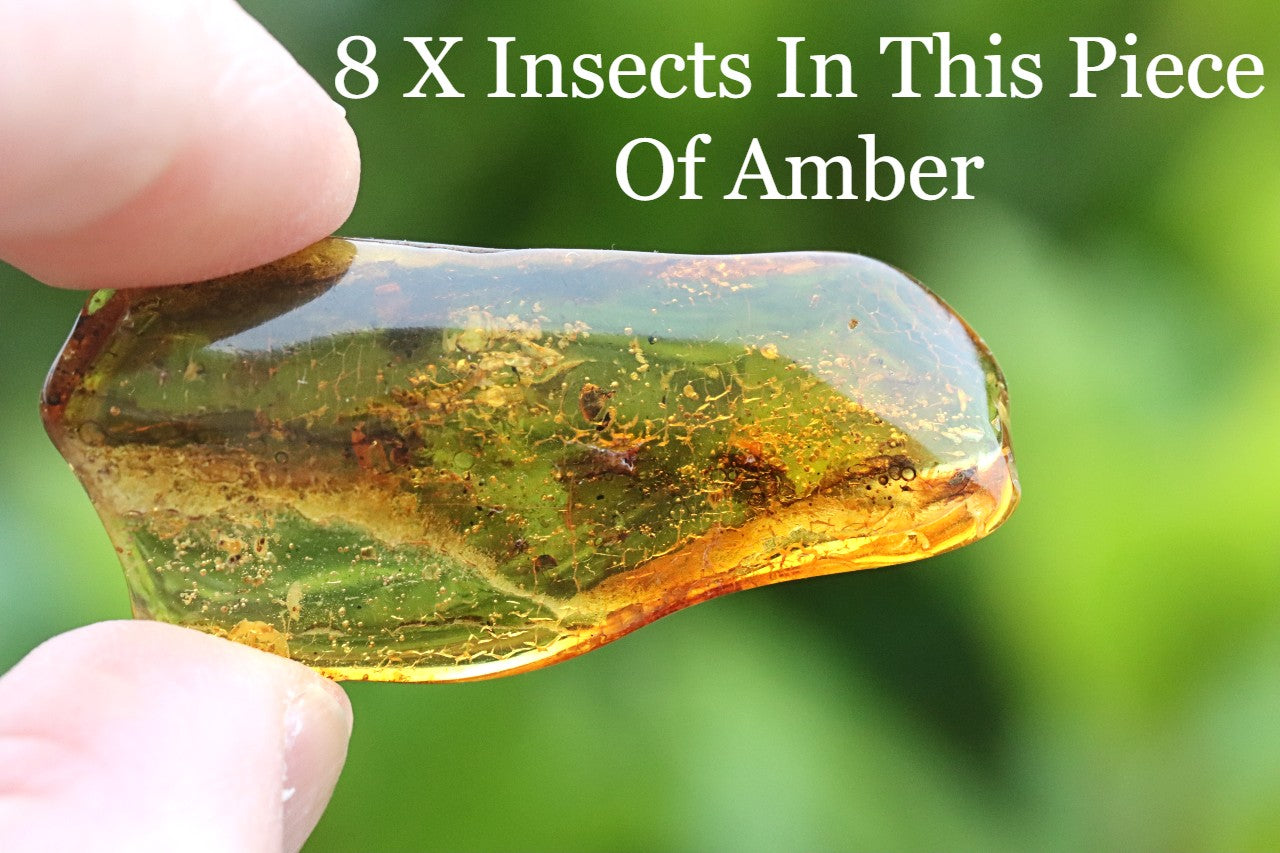 Amber Gem With 8 X Insects and air bubbles