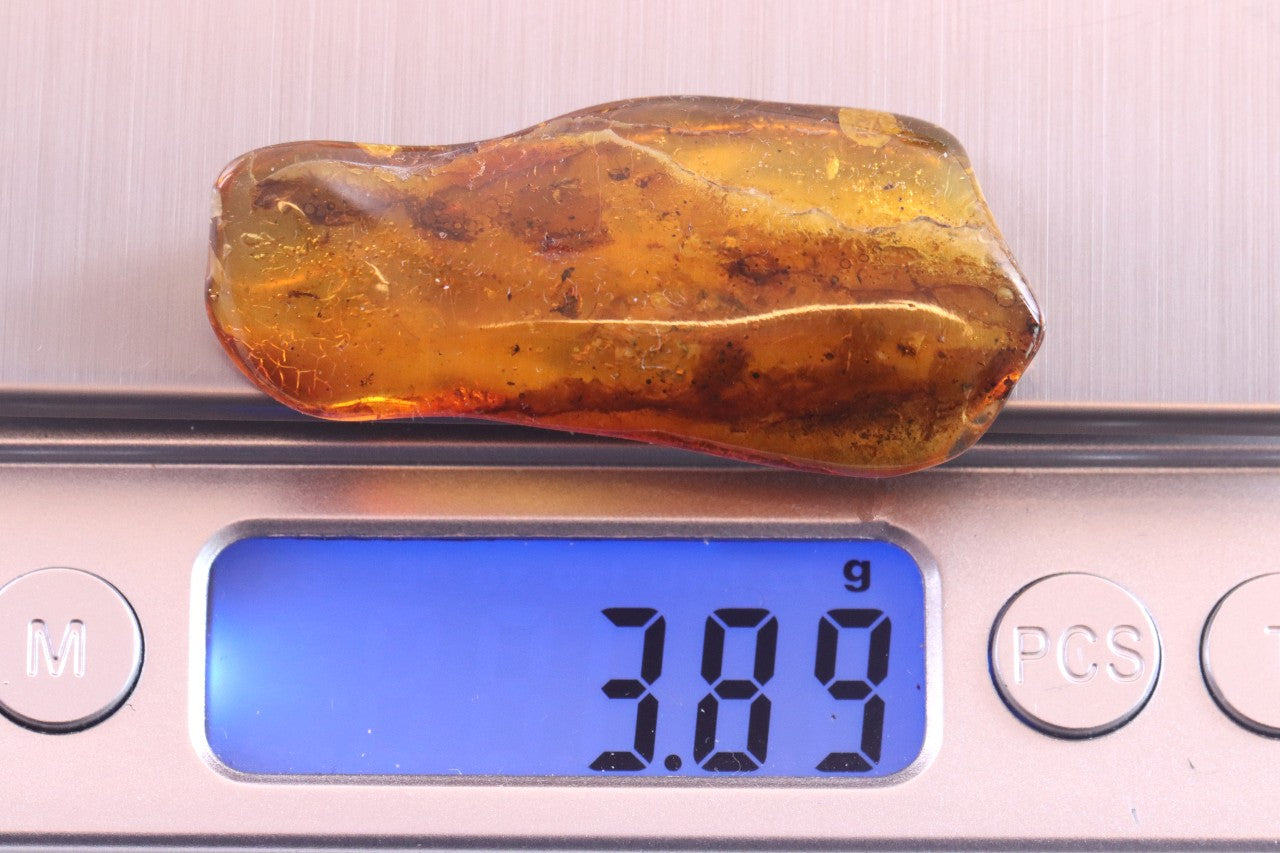 Amber Gem With 8 X Insects and air bubbles