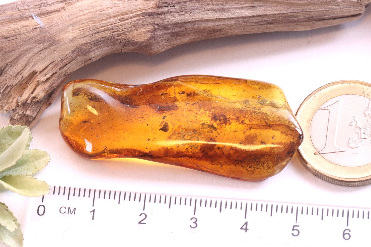 Amber Gem With 8 X Insects and air bubbles