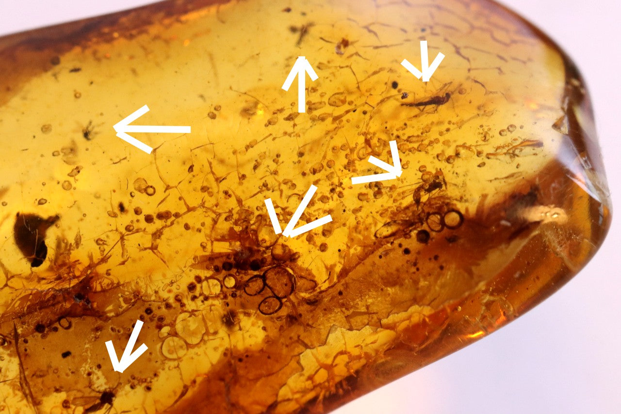 Amber Gem With 8 X Insects and air bubbles