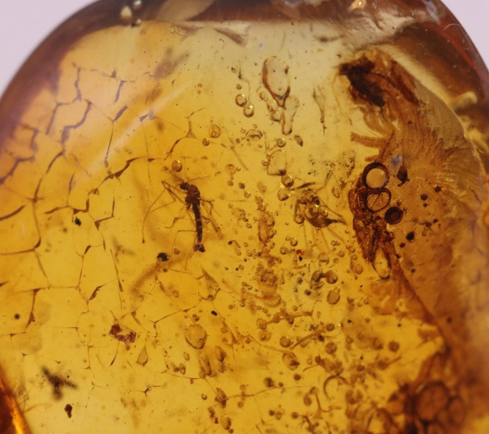 Amber Gem With 8 X Insects and air bubbles