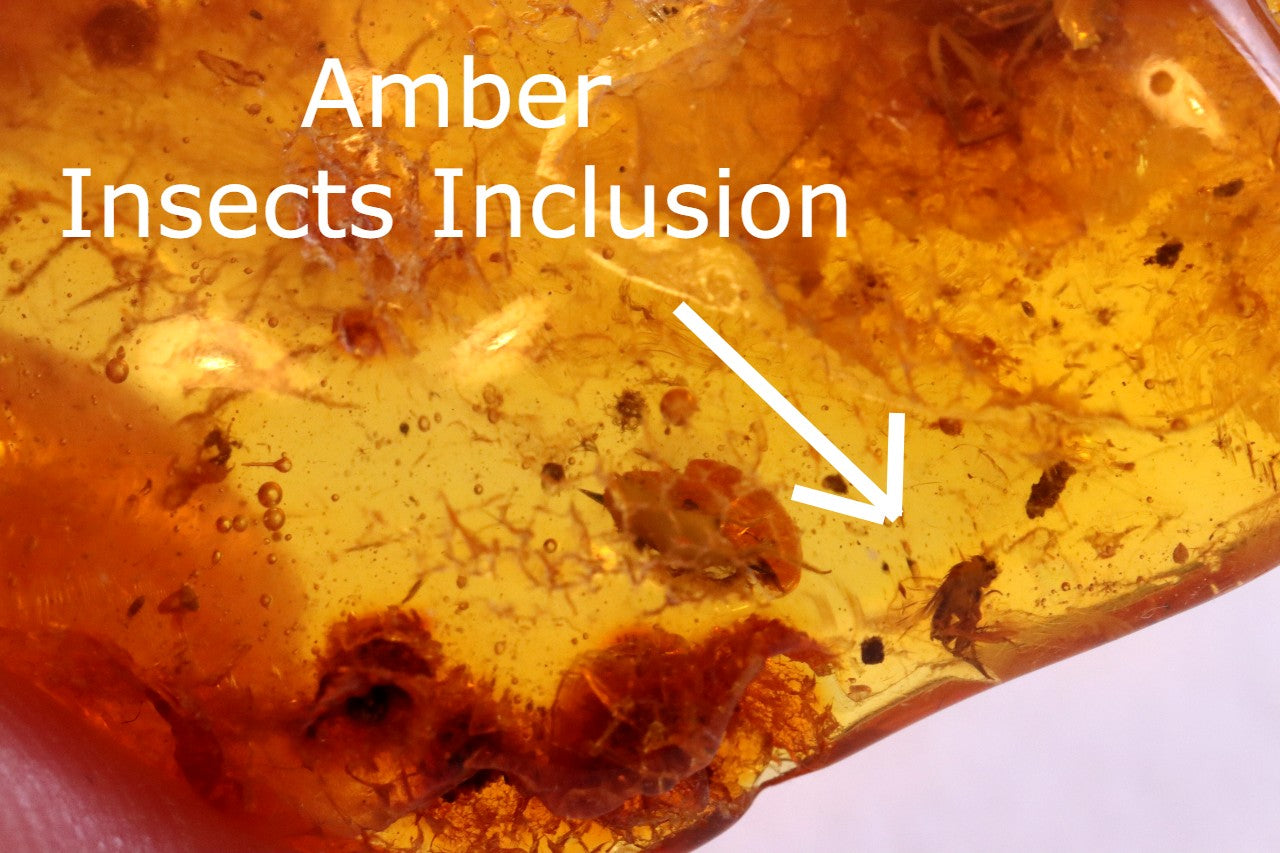 Trapped Insect Inclusion in Amber