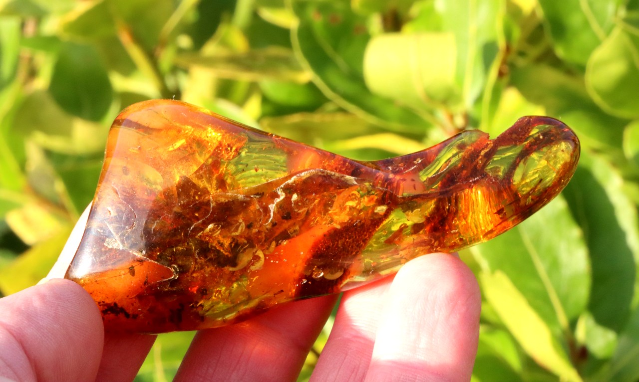 Unbelievable 40 million year old Baltic Amber with Insects Inclusion