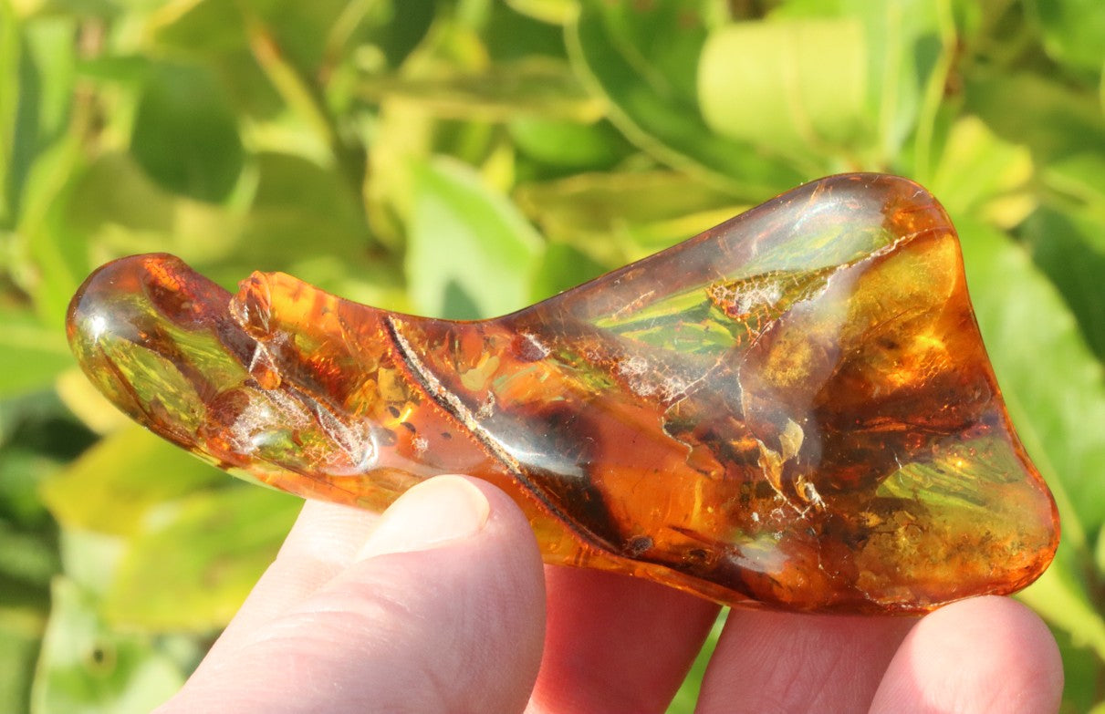 Unbelievable 40 million year old Baltic Amber with Insects Inclusion