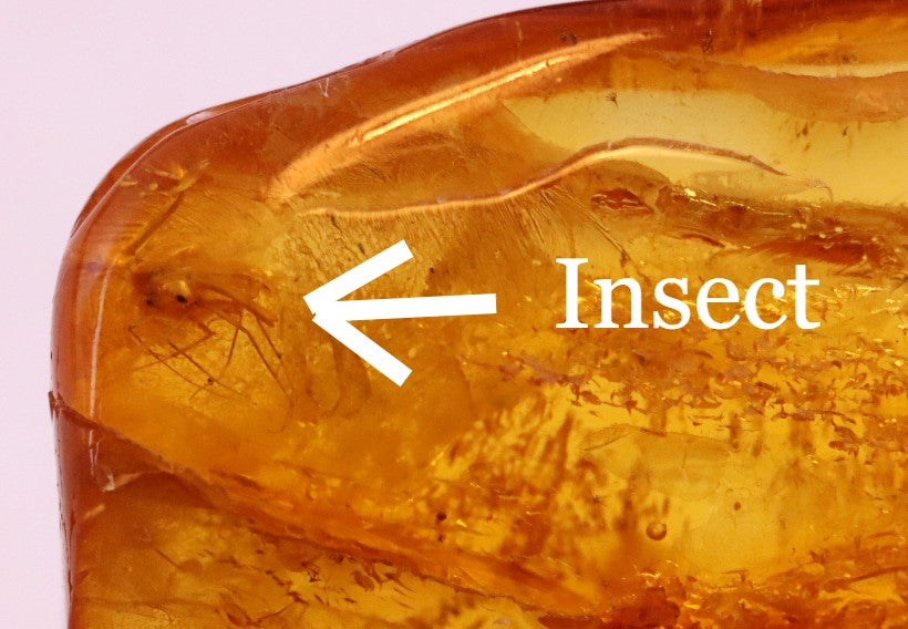 Amber Insect Inclusion 2 X Insects in this piece