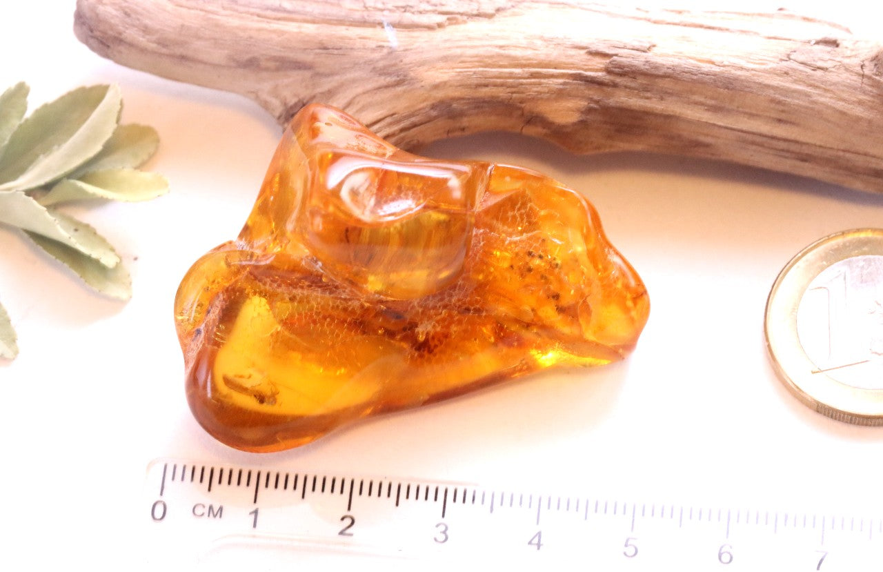 40 Million year Old Baltic Amber with Ant Inclusion