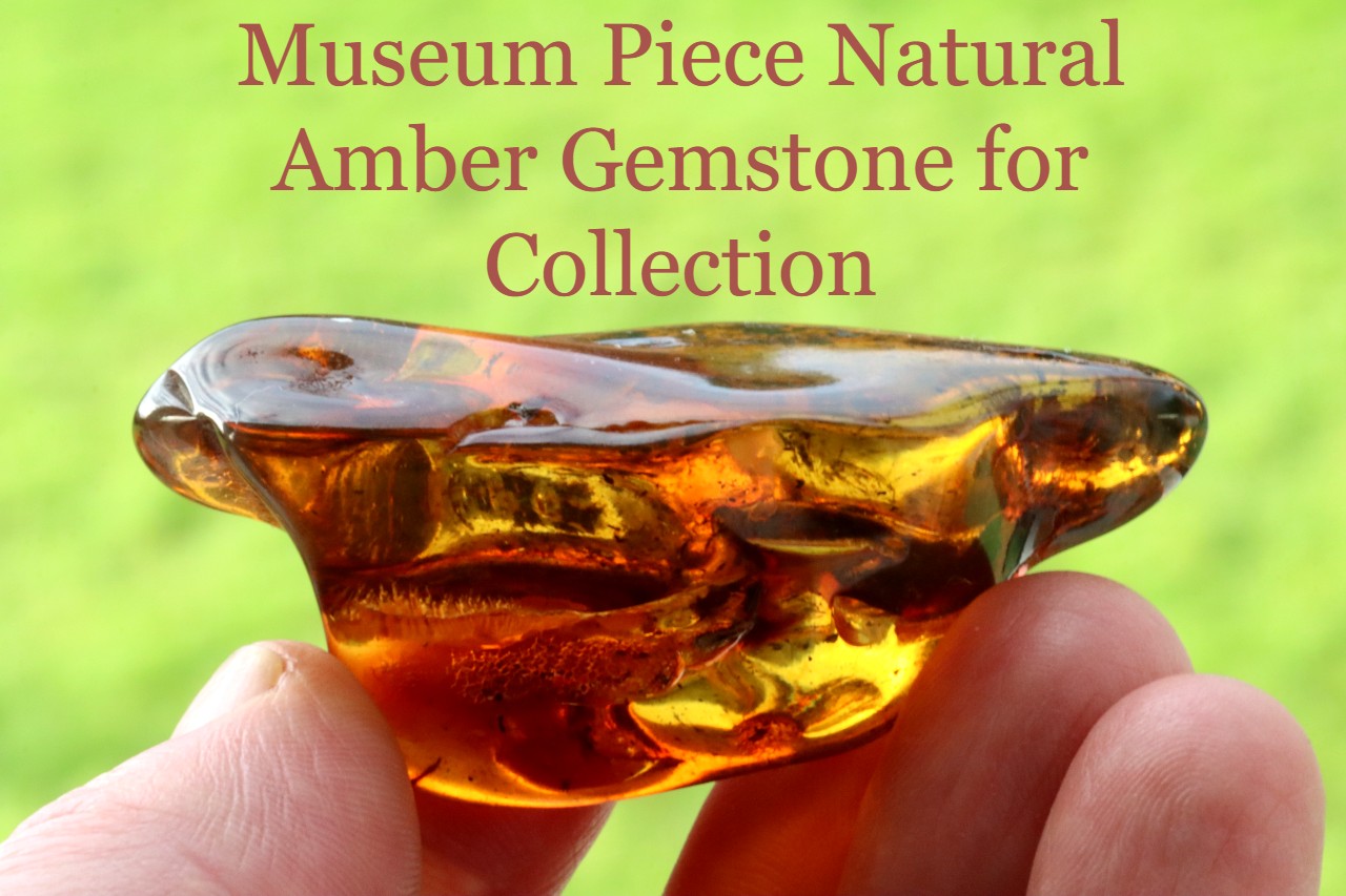 40 Million Year Collector's gem with  Branch of tree and insect