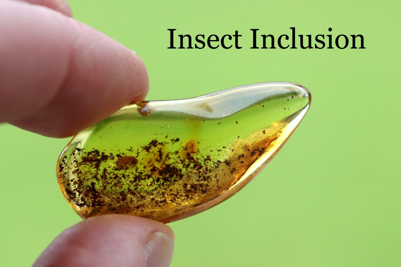 Insect Inclusion