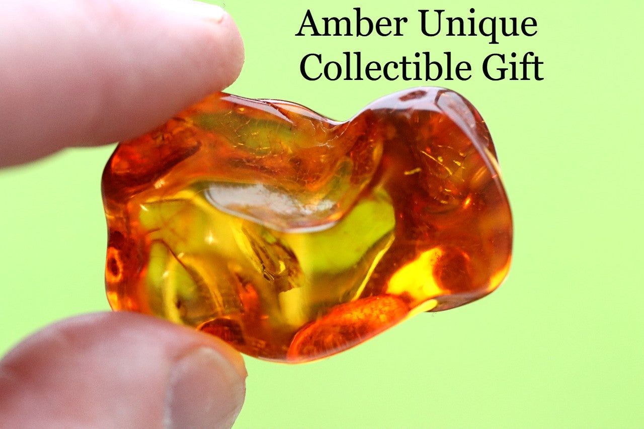 Baltic Amber 40 million year old Insect