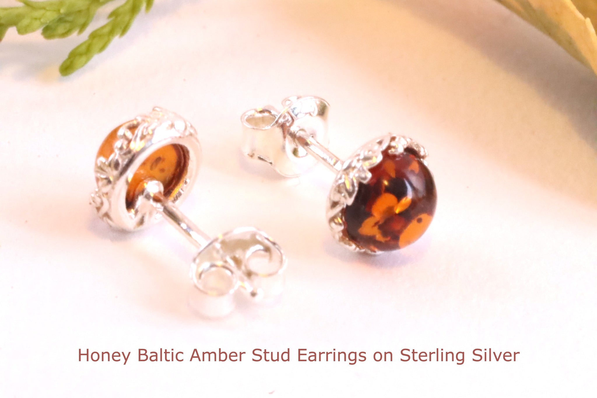 Honey Baltic Amber Stud Earrings on Sterling Silver