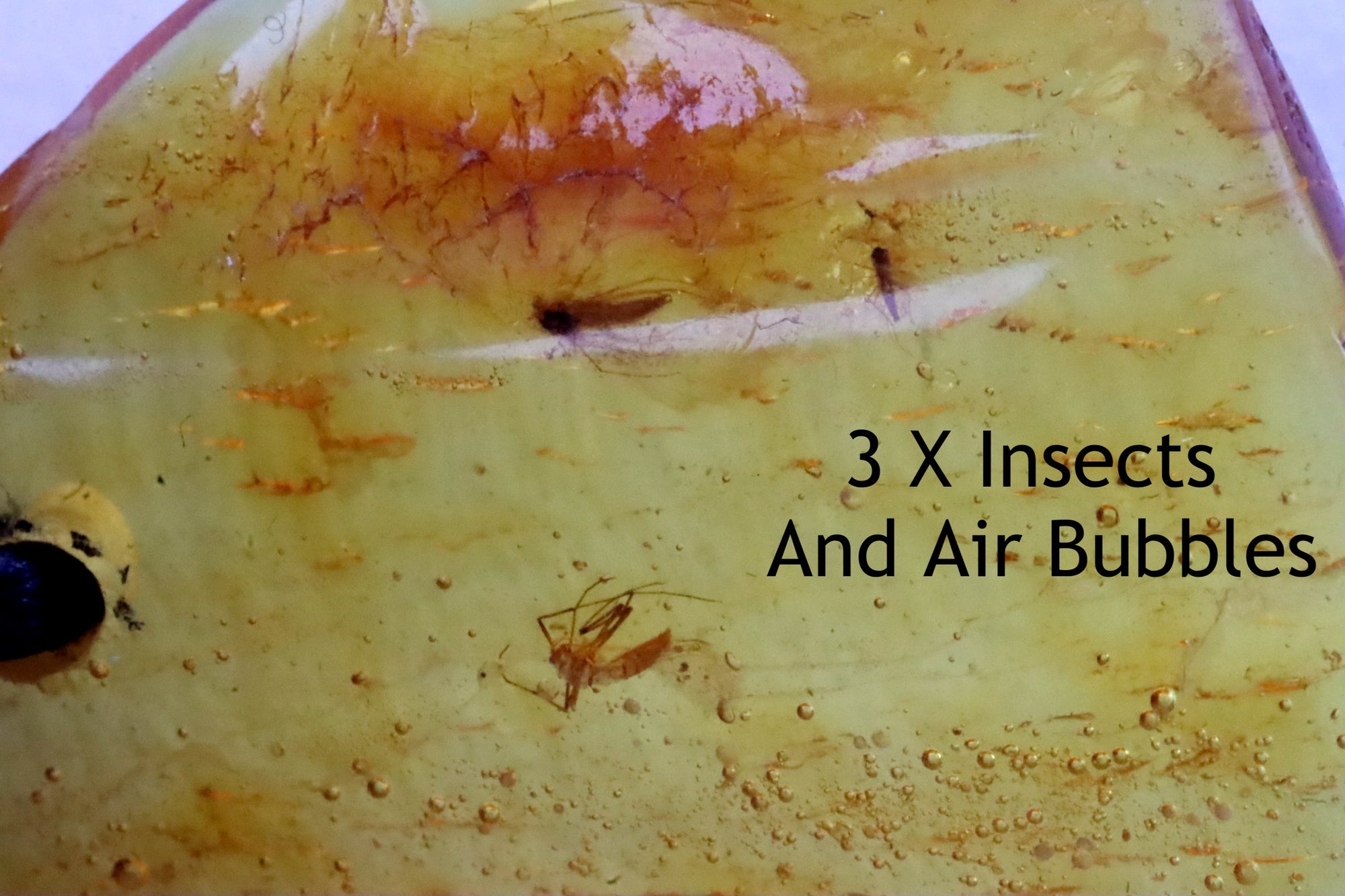 3 X Very Clear Insects In 40 Million Year Old Baltic Amber and air Bubbles