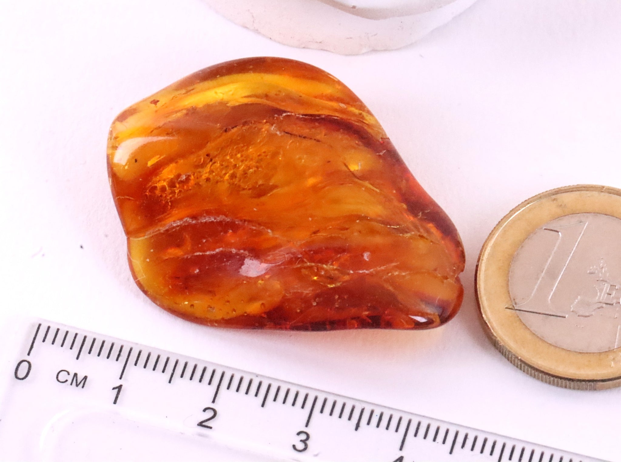 Inclusion in Baltic Amber