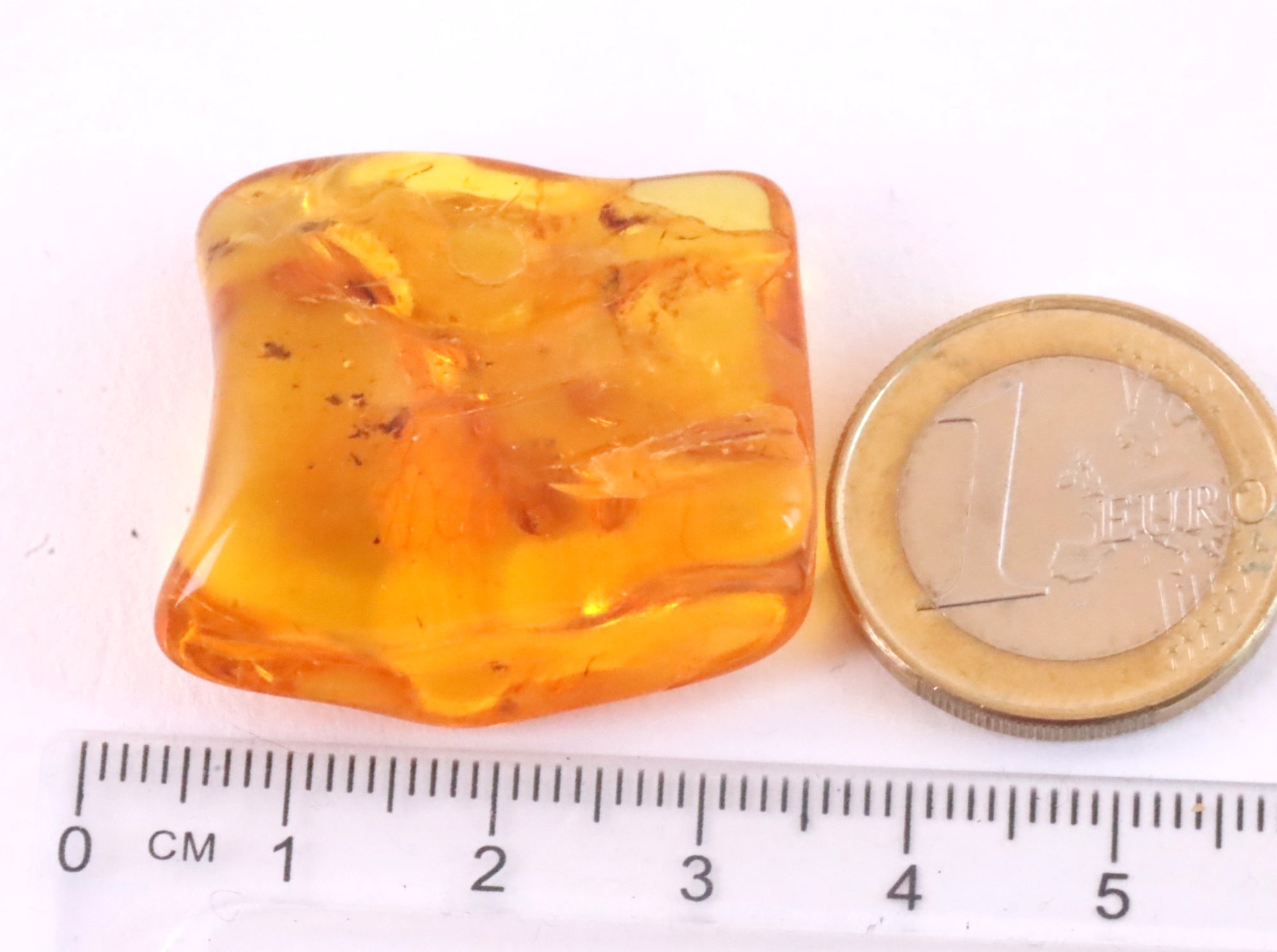 40 Million year Old Baltic Amber With Insect Inclusion