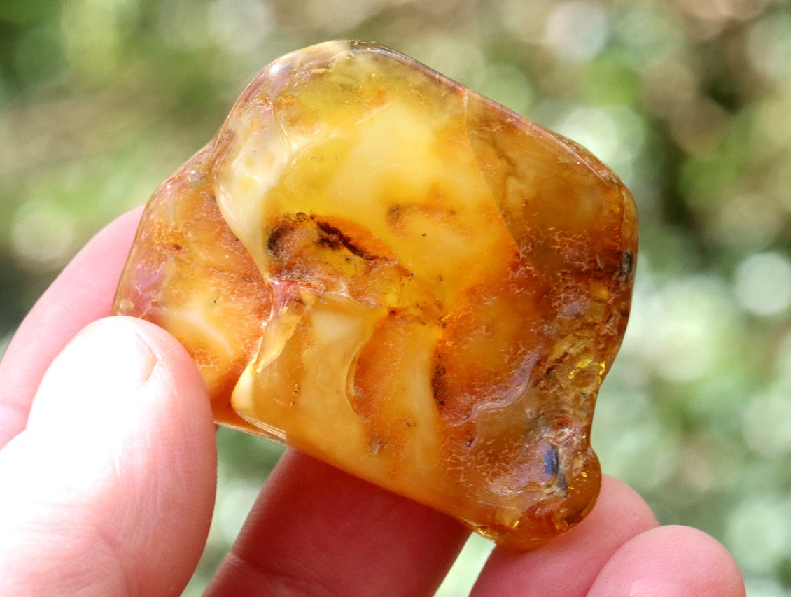Warm Natural Baltic Amber Gemstone