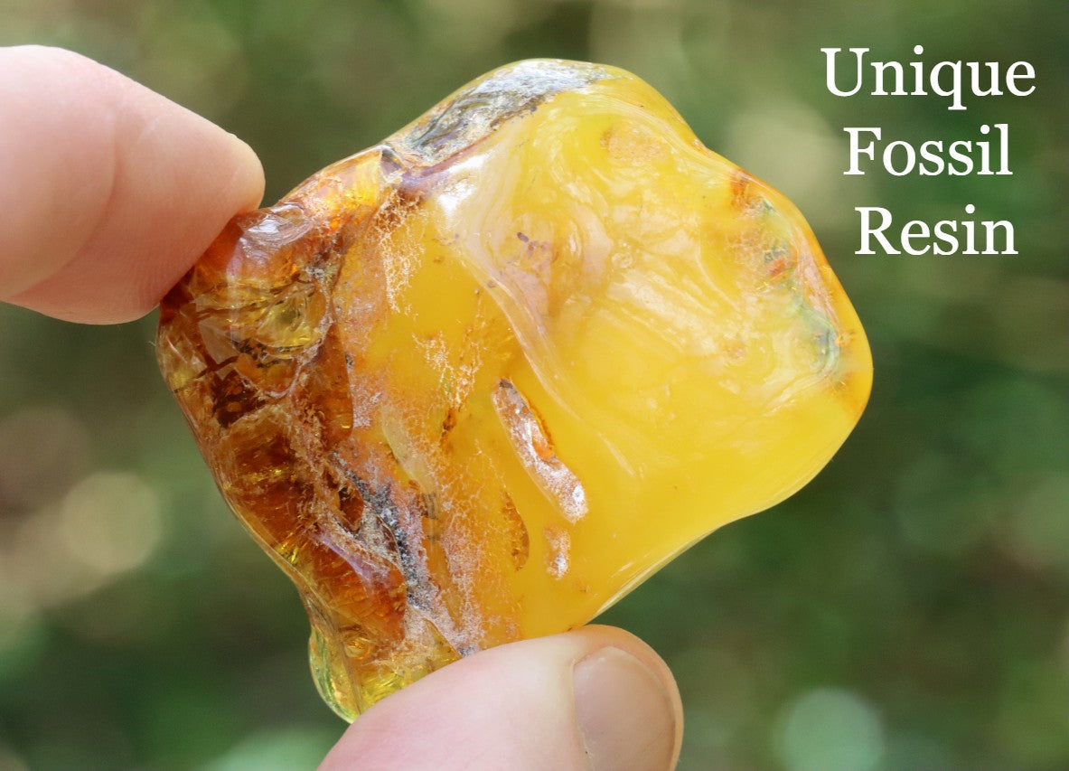 Warm Natural Baltic Amber Gemstone