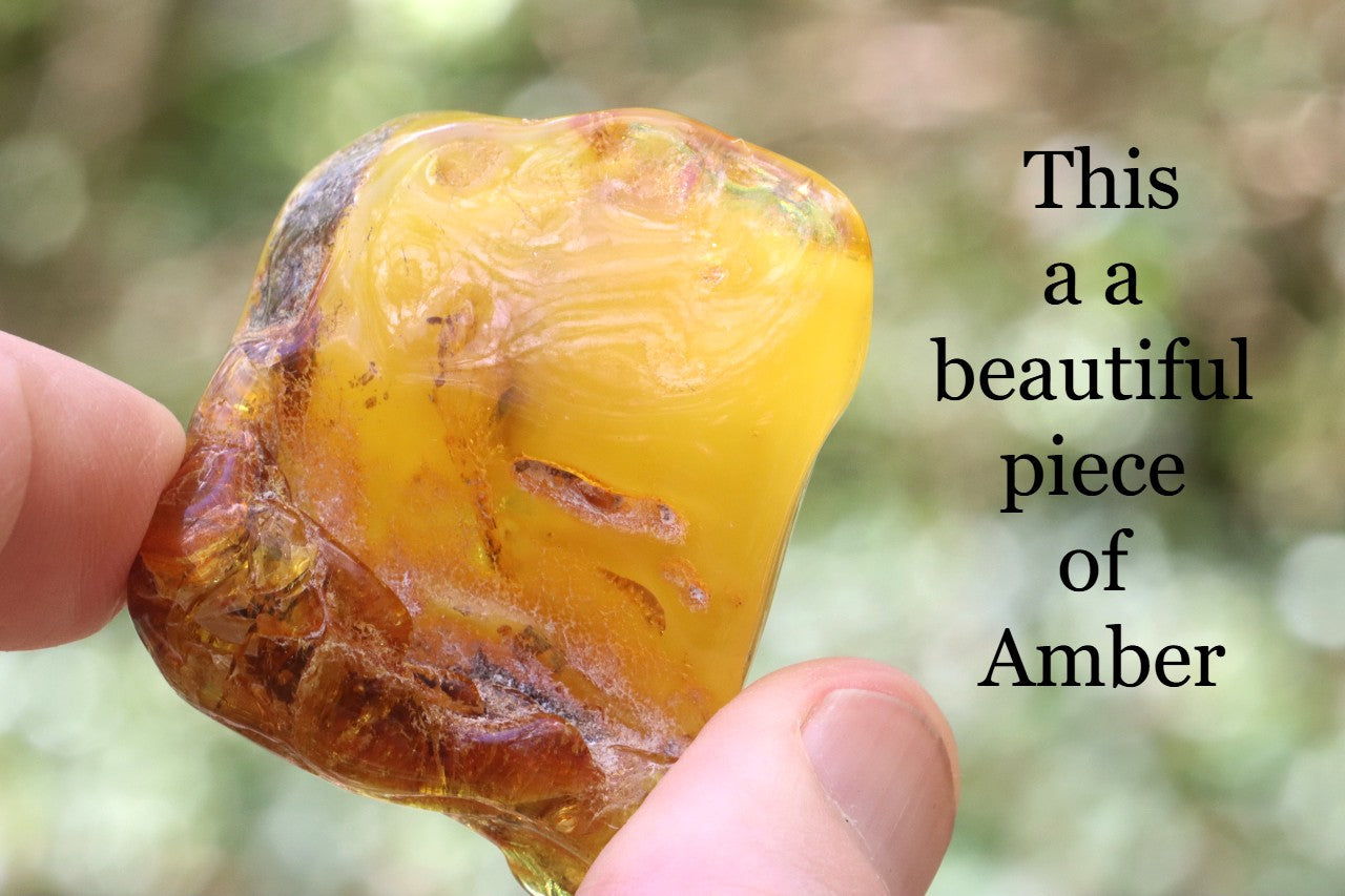 Warm Natural Baltic Amber Gemstone
