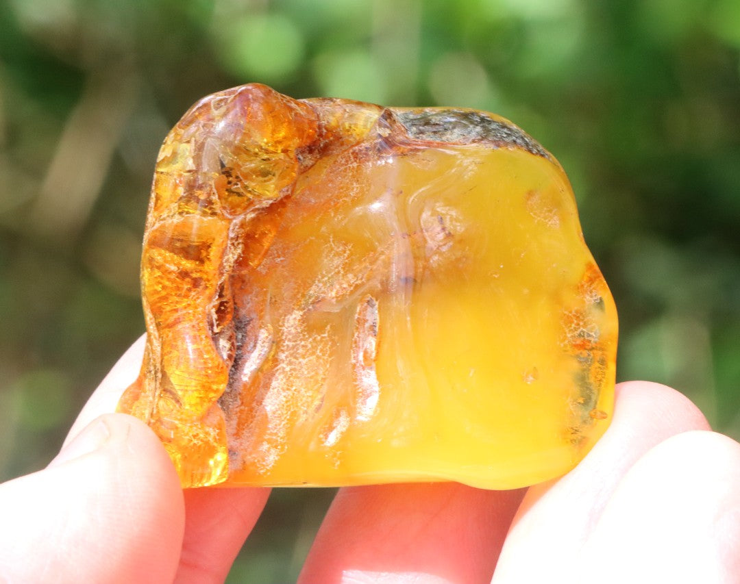 Warm Natural Baltic Amber Gemstone