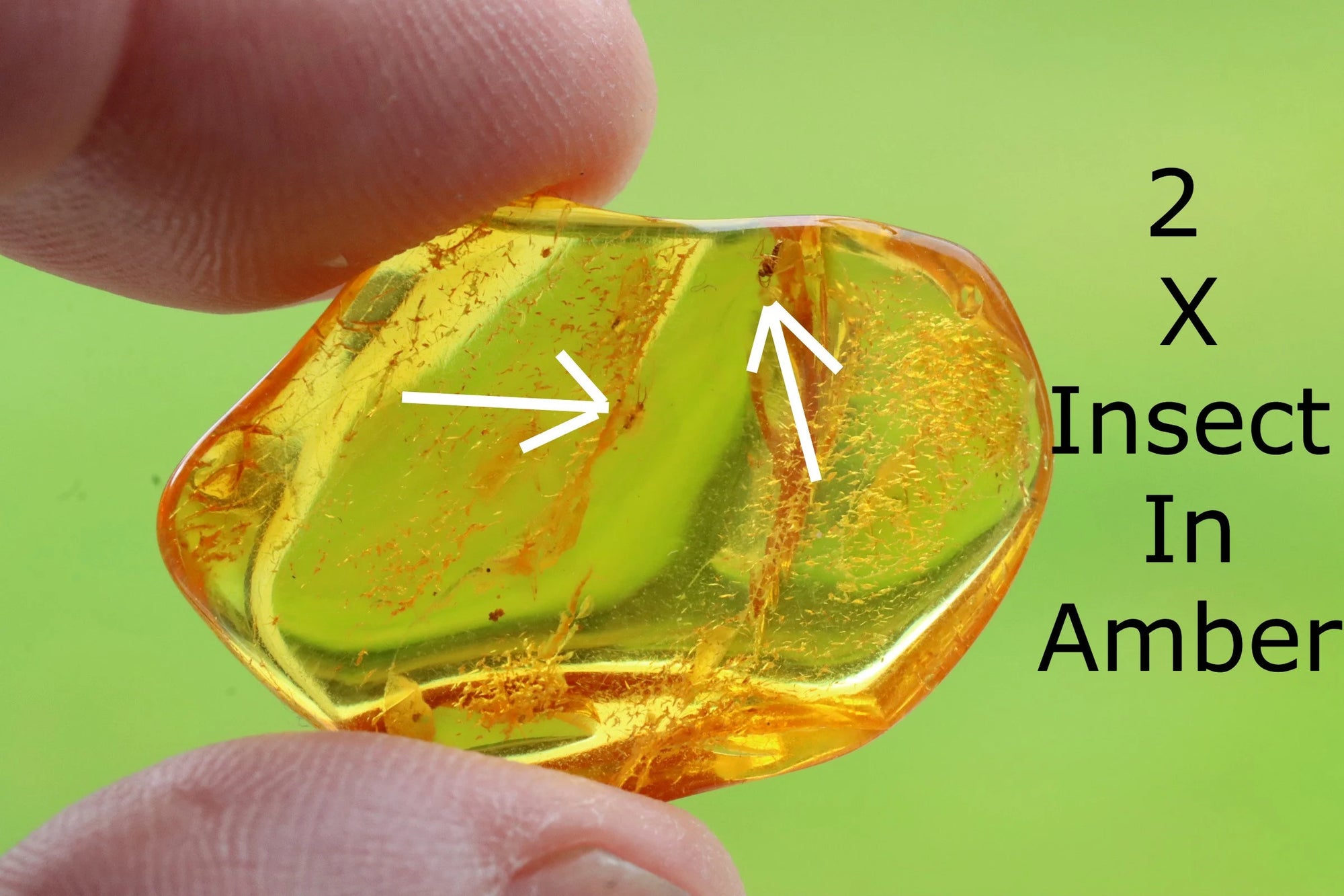 Baltic Amber Amulet with Inlusions