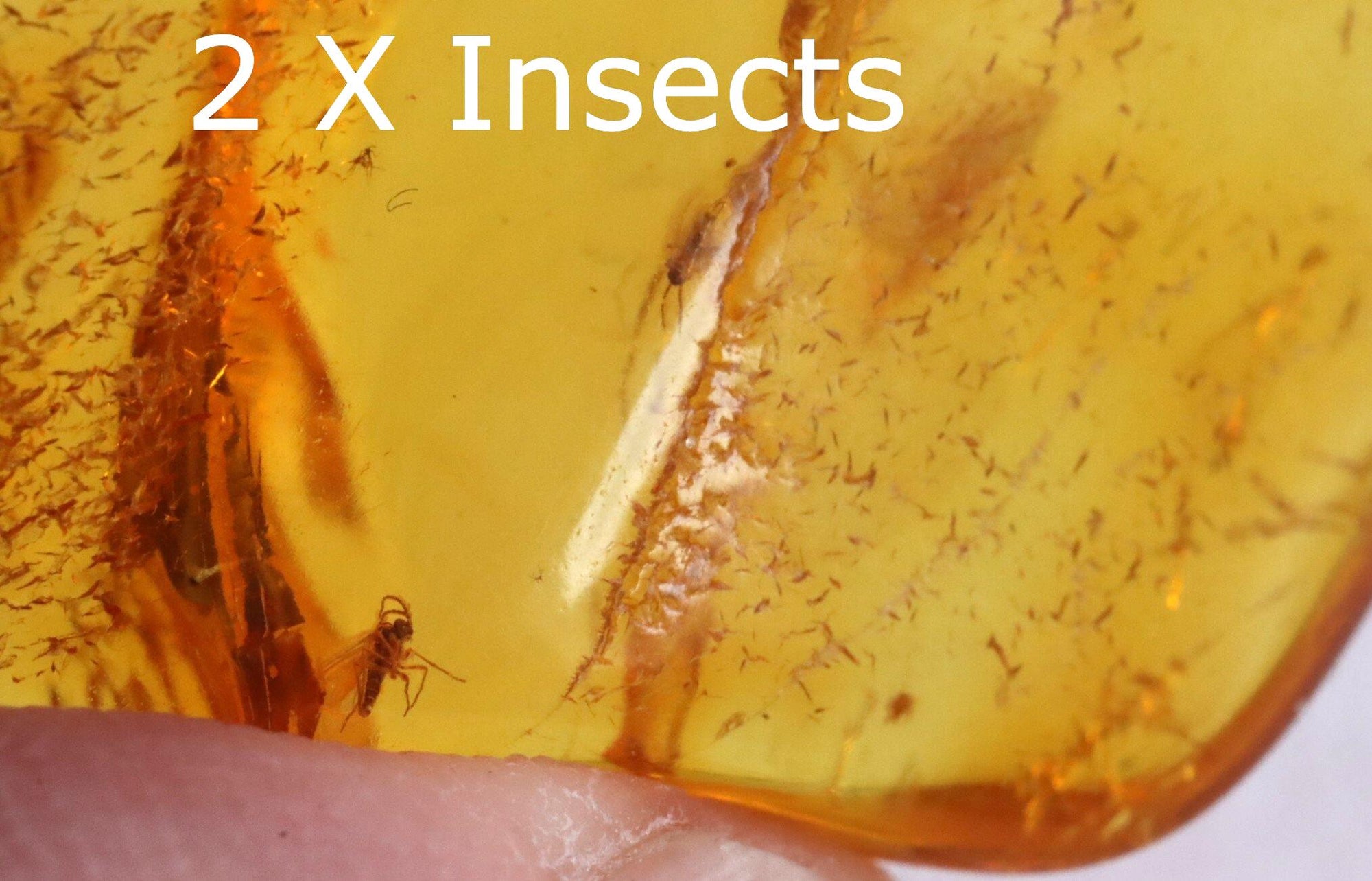 Baltic Amber Amulet with Inlusions