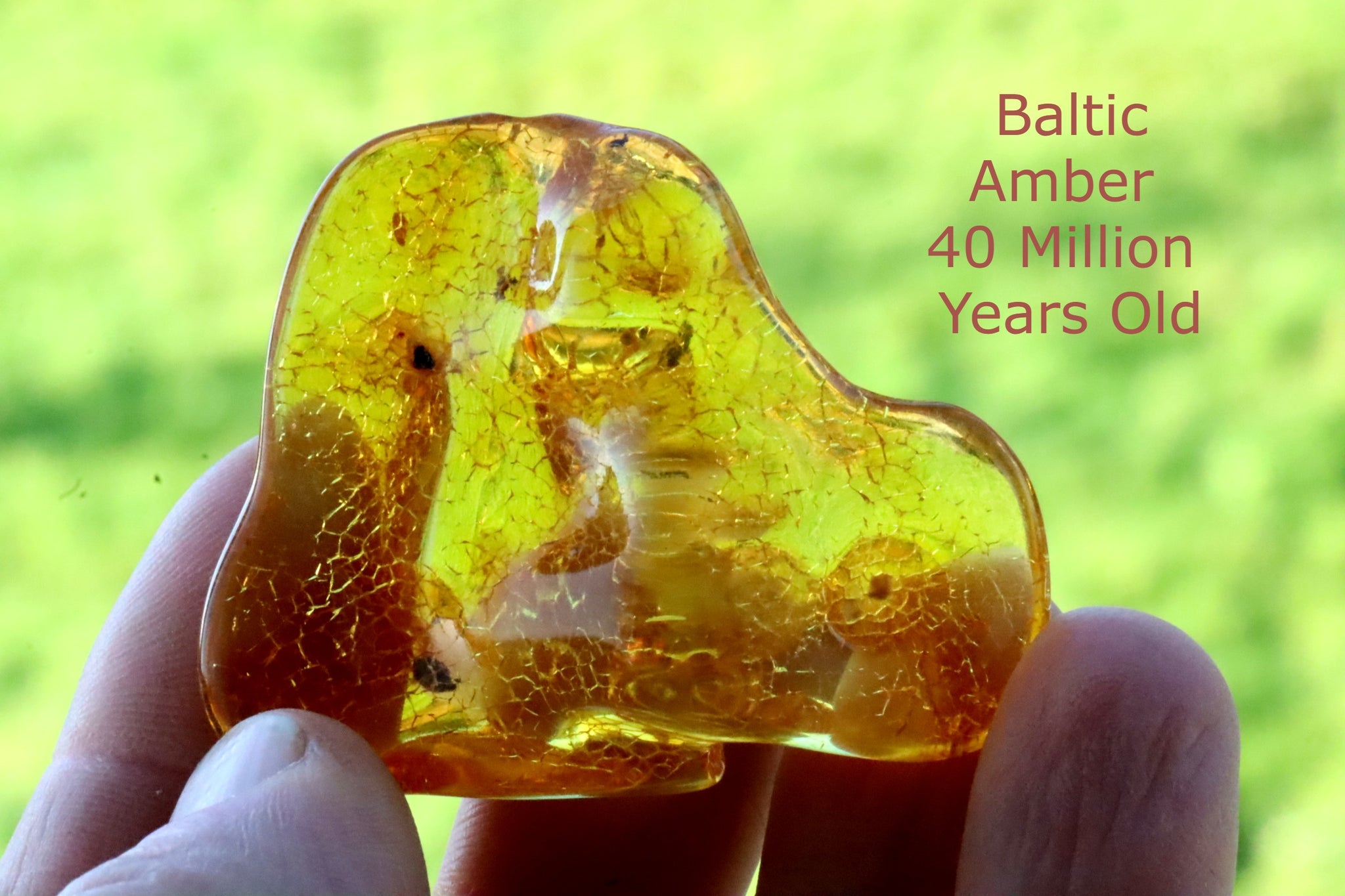 Amber Collector's Gemstone