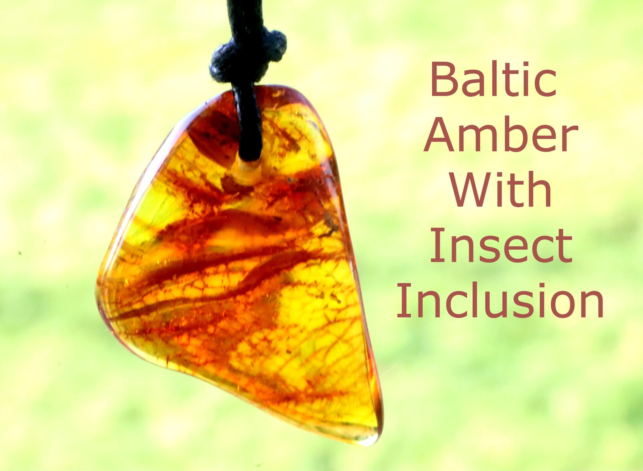 Insect in Baltic Amber Amulet
