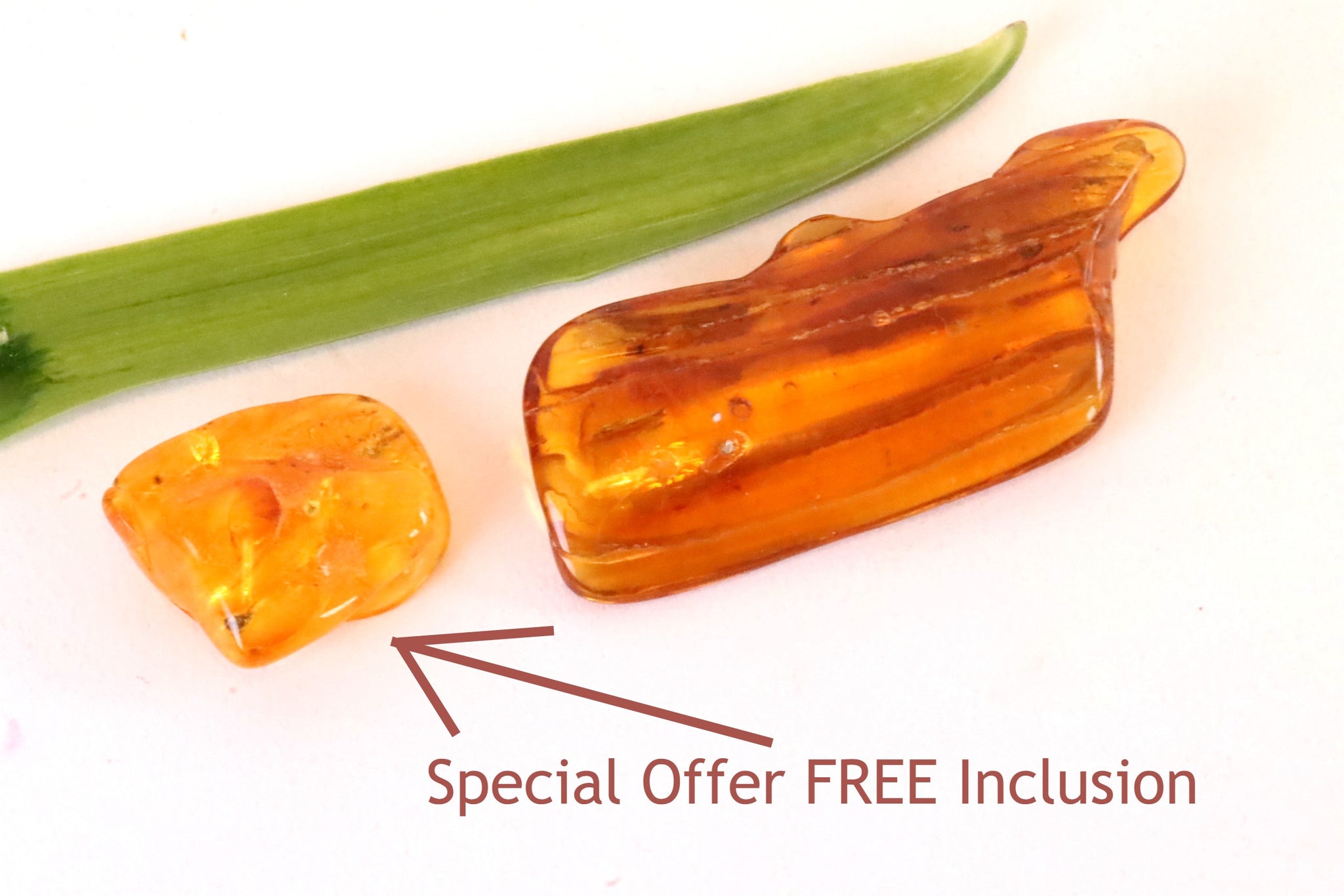 Baltic Amber Museum Collector's gem With Insects Inclusion + FREE Extra Inclusion
