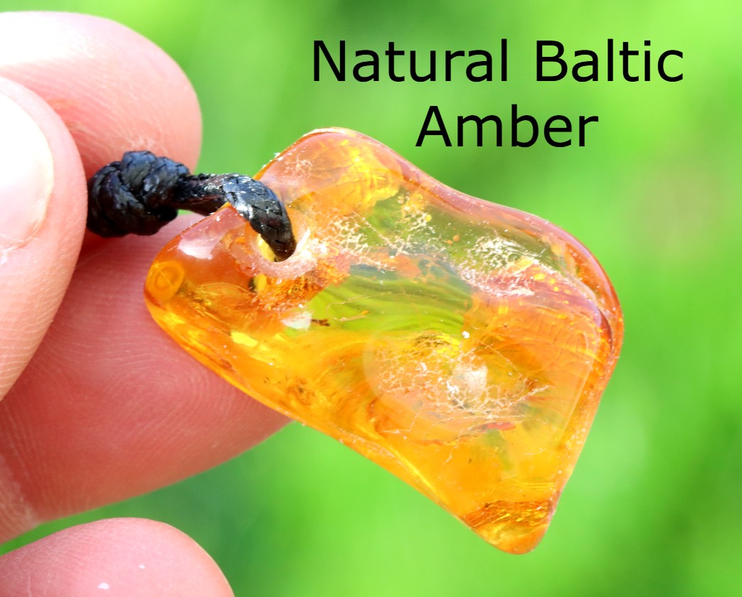 Baltic Amber Amulet with Insect Inclusion | 40 Million Year Old Fossil Resin from Eocene Era