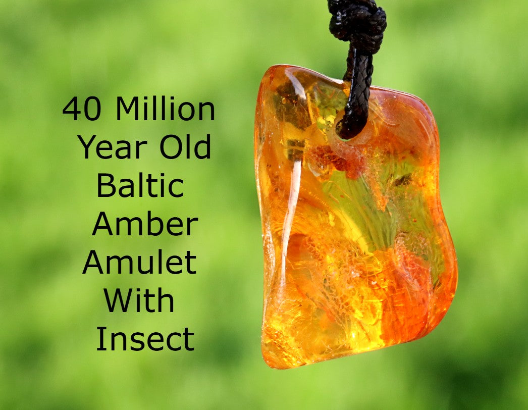 Baltic Amber Amulet with Insect Inclusion | 40 Million Year Old Fossil Resin from Eocene Era