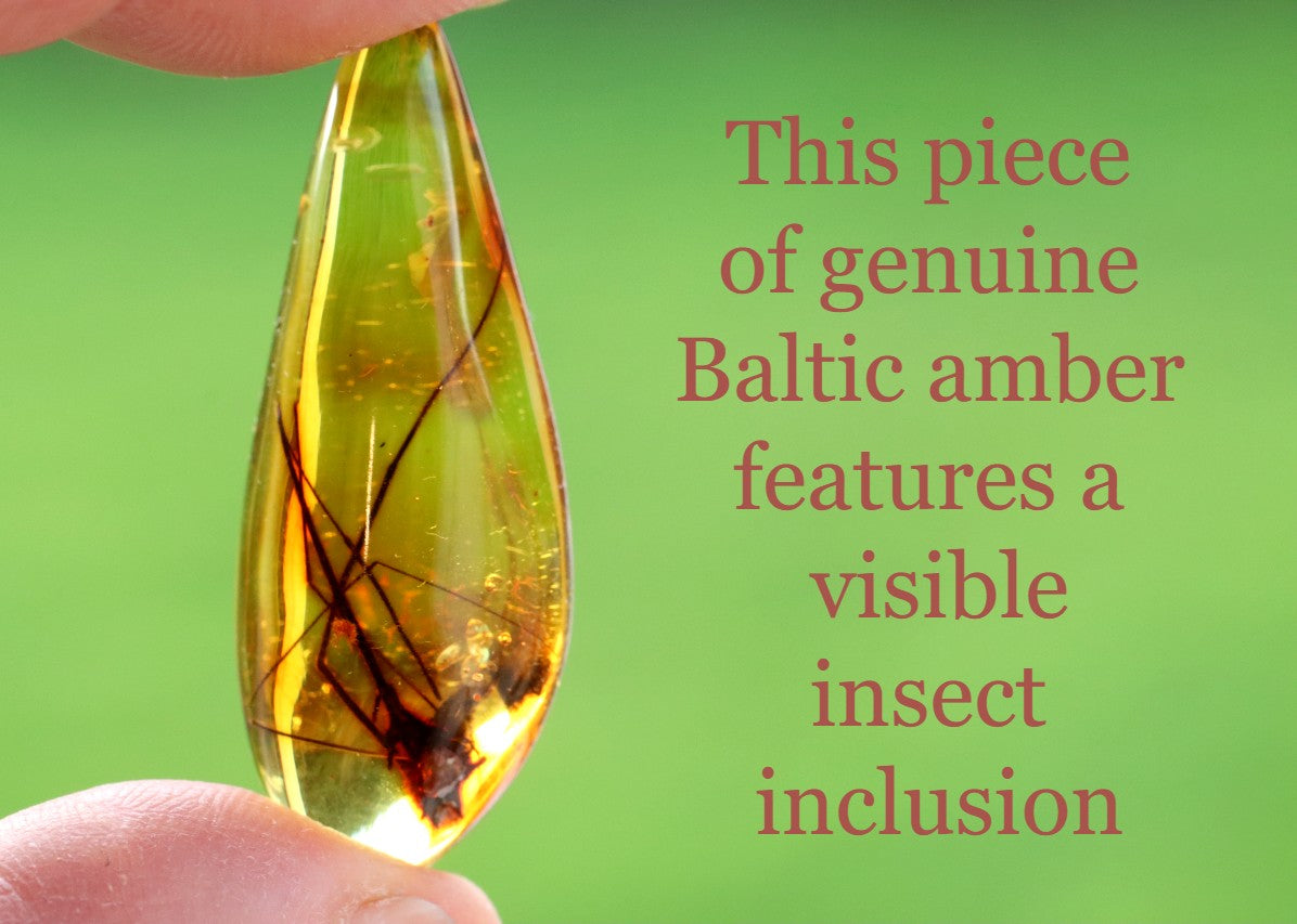 Baltic Amber with Insect Inclusion